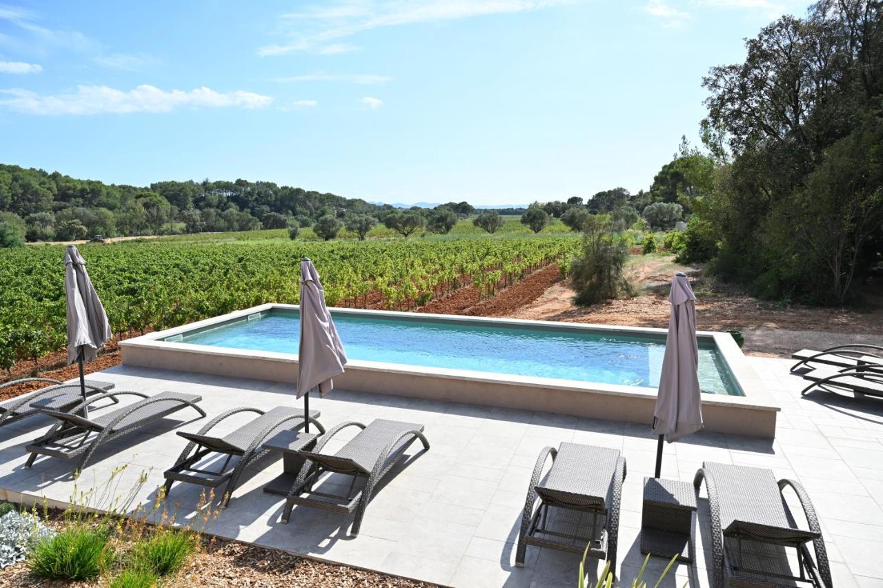 Sous Les Pins Gites Et Chambres D'Hotes 拉隆德莱丝莫里斯 外观 照片