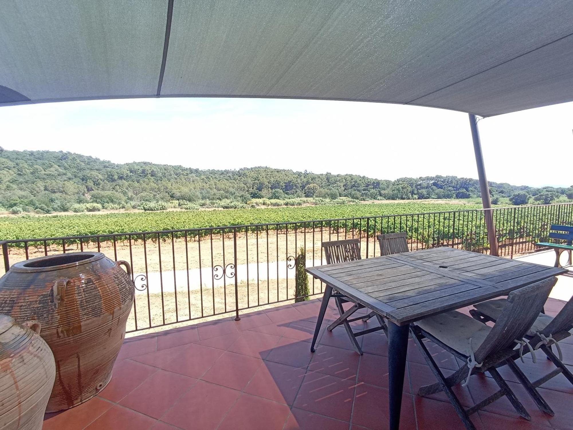 Sous Les Pins Gites Et Chambres D'Hotes 拉隆德莱丝莫里斯 外观 照片